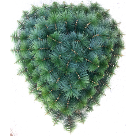 091. Srdce veľké plast borovica, V-100cm, Š-90cm