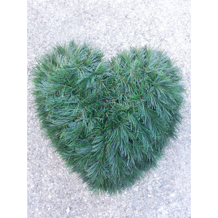 092. Srdce malé drôt, 40cmx42cm