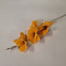 Gladiola ks / 1004