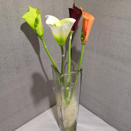 Kála stonková mix / 100828