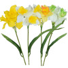 Narcis ks Mix / 101297