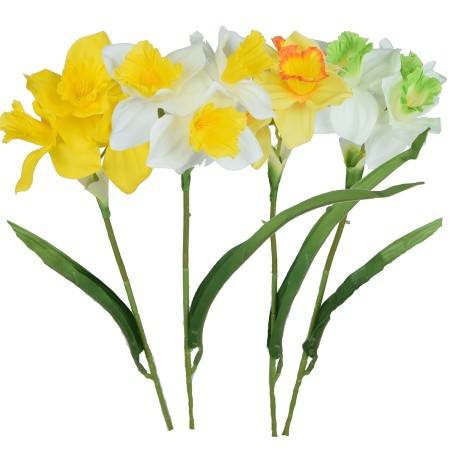 Narcis ks Mix / 101297
