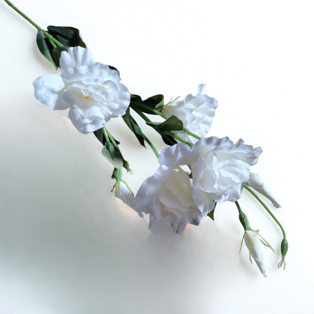 Eustoma ks Cream / 101302