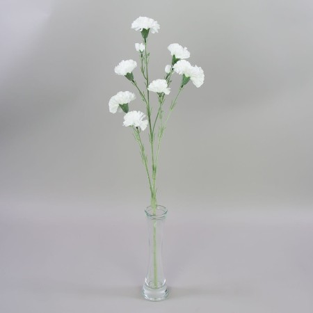 Karafiát trs White / 104001 