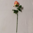 Ruža stonková / 108204