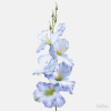 Gladiola ks / 1190