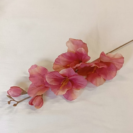 Gladiola ks Mauve / 122755