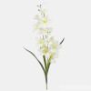 Orchidea 2 stonková 52cm/1284