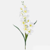 Orchidea 2 stonková 52cm/1284