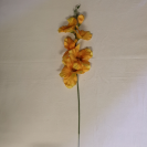 Gladiola ks / 1302