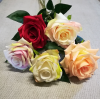 Ruža stonková mix / 133700