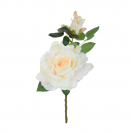 Ruža rozkvitnutá s pukom ks / 1359