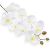 Orchidea White ks / 163802