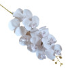 Orchidea ks White / 163871