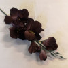 Gladiola ks / 1777