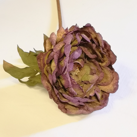 Pivonka korková ks / 178601