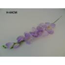 Gladiola ks / 1787