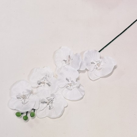 Orchidea ks White / 182731