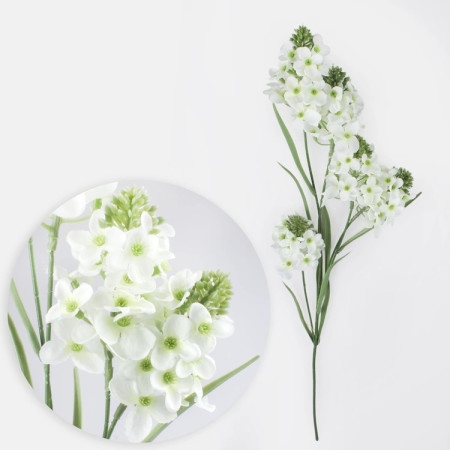 Tuberoza Cream / 187301 