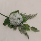 Hortenzia pick Mix / 237673