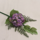 Hortenzia pick Mix / 237673