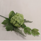 Hortenzia pick Mix / 237673