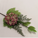 Hortenzia pick Mix / 237673