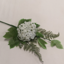 Hortenzia pick Mix / 237673