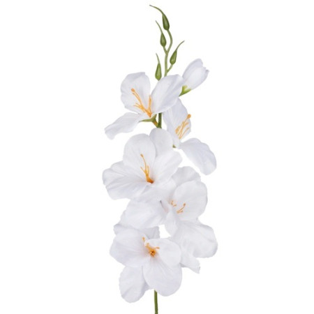 Gladiola ks 54cm / 2667
