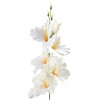 Gladiola ks 54cm / 2667