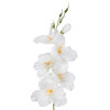 Gladiola ks 54cm / 2667