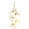 Gladiola ks 54cm / 2667