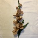 Gladiola s listom ks/3035