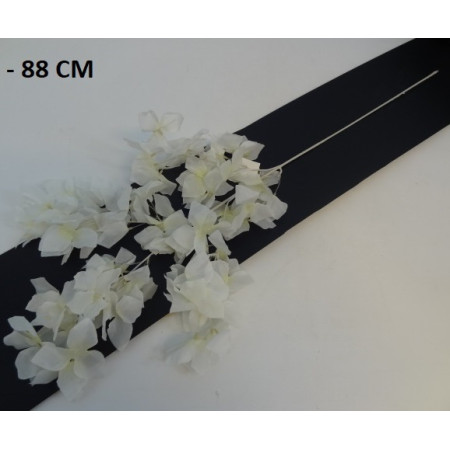 Kvet ks White / 6389