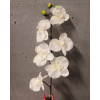 Orchidea ks 63cm / 720