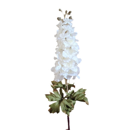 Ostrôžka Cream / 795511