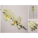 Gladiola ks / 809