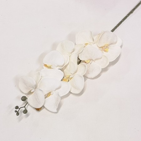 Orchidea ks Cream-Peach / 922591