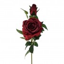 Ruža ks Red / 924144