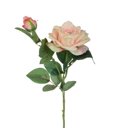 Ruža ks Pink guma / 926278