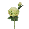 Ruža ks Green guma / 926339