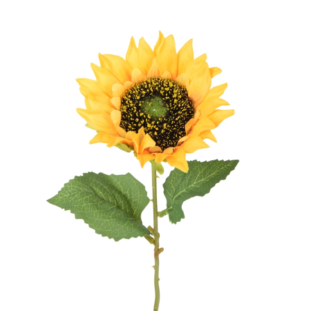 Slnečnica ks / 941936