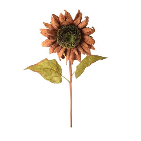 Slnečnica korková ks / 2038