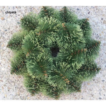 001. Veniec Borovica 16, slamenný základ  D-42cm 