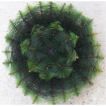 050. Kruh na plaste 2- poschodový bovorica, D-50cm