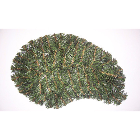 085. Slonia slza stredná, V-75cm