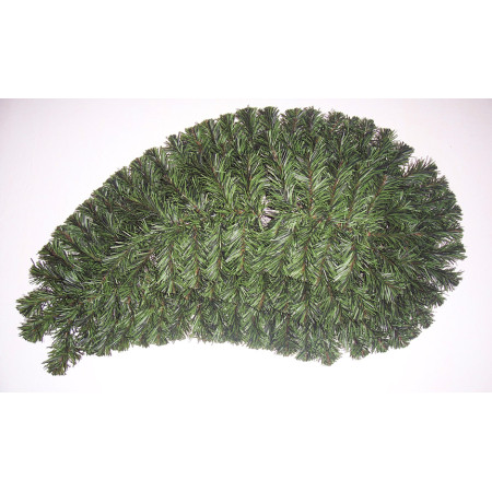 086. Slonia slza veľká, V-85cm