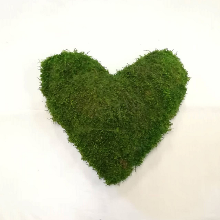 Srdce machové 25cm / 196