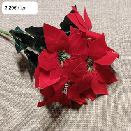 Kytica Vianočný kvet Red / 122701