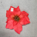 Vianočný kvet Coral / 130604